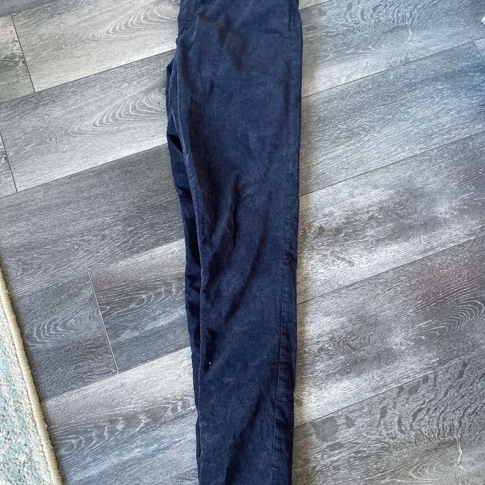 ADEIANO GOLDSCHMIED PANTS 27r